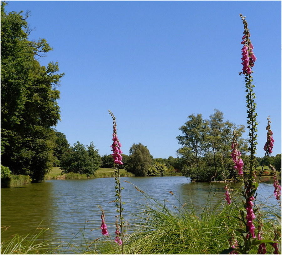 jardin de la foltière