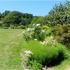 jardin de la foltière