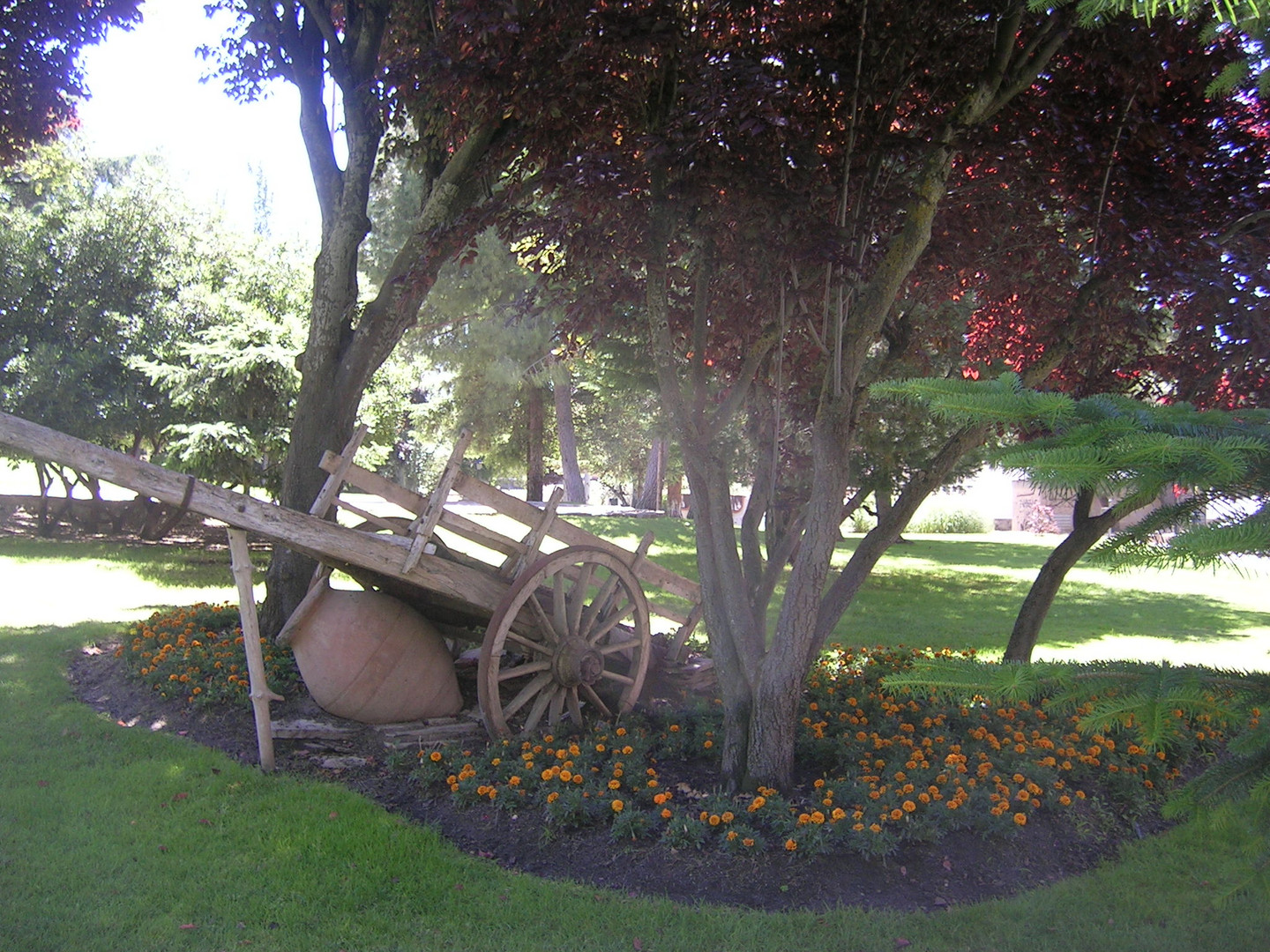 Jardin de la Iglesia de Griñon(Madrid)