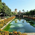 Jardin de l'Alcazar à Cordoue