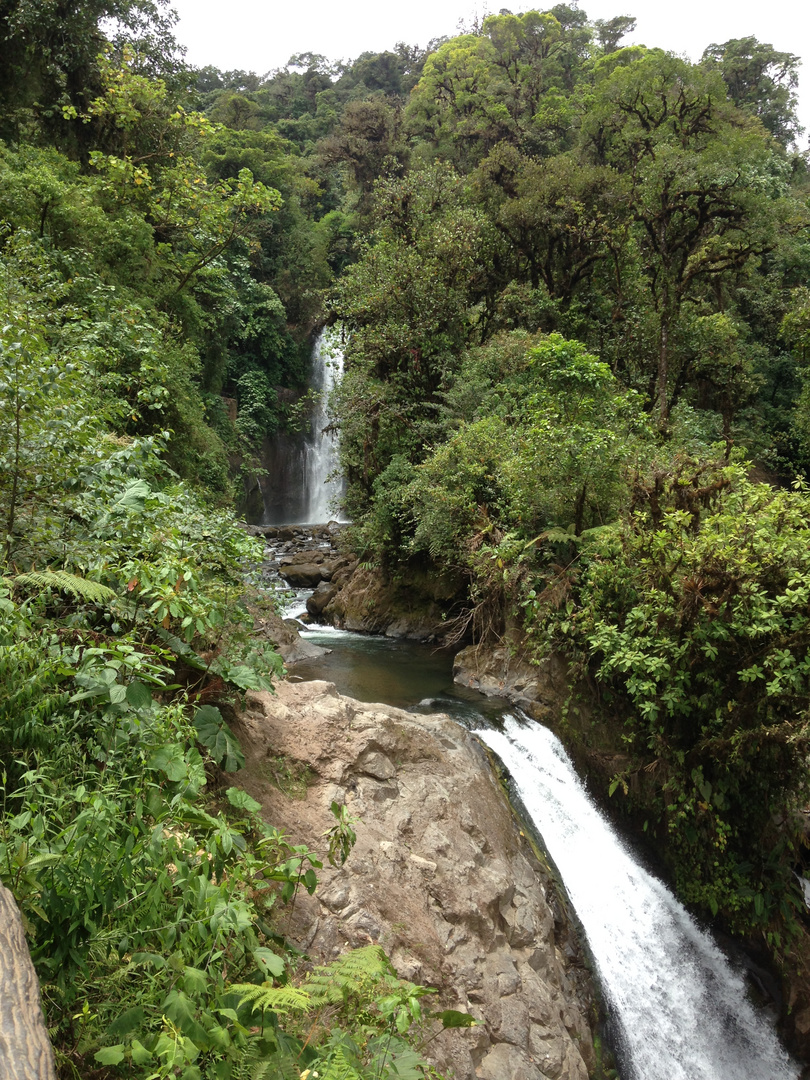 Jardín de las cataratas