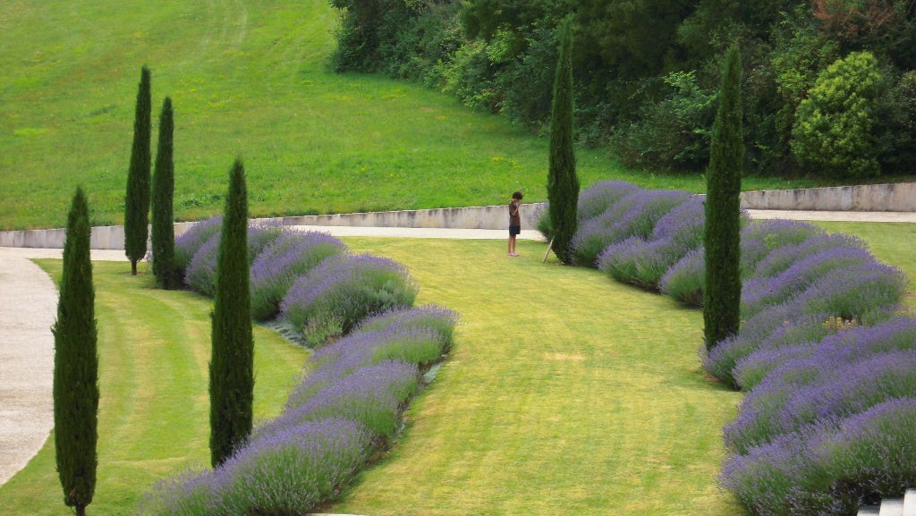 Jardin de lavande