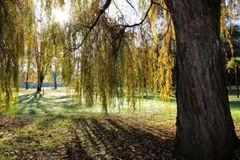 jardin de Lumière........