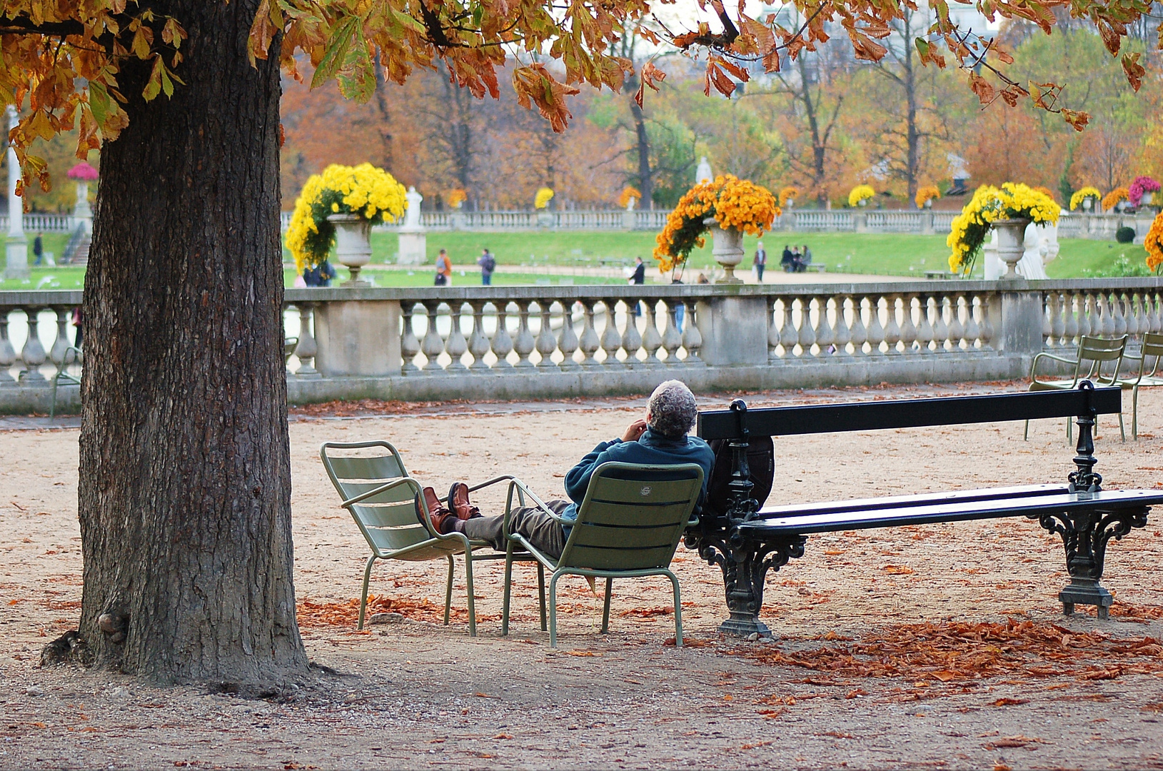 jardin de luxemburgo