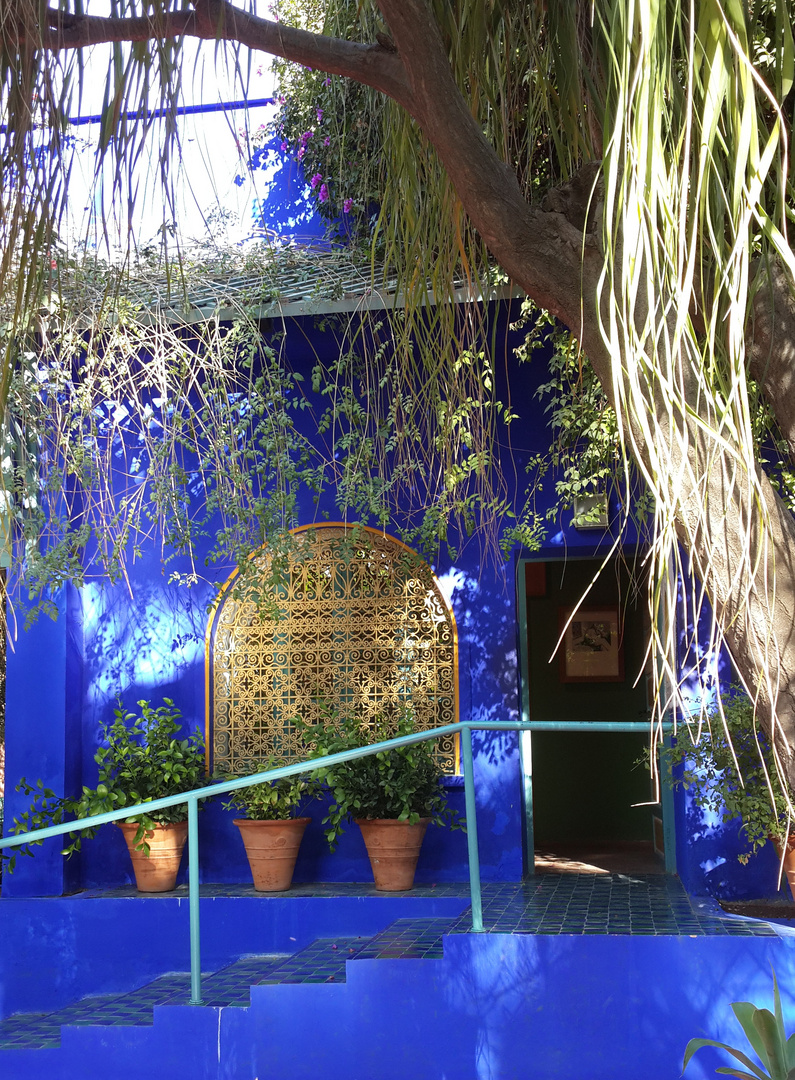 Jardin de Majorelle