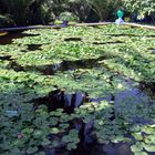 jardin de majorelle 1