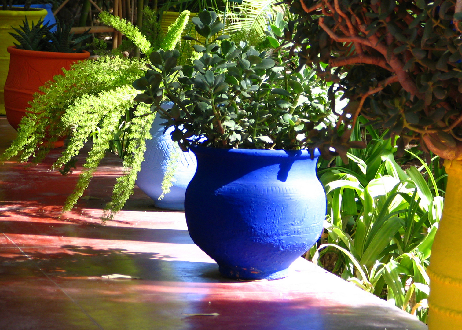 Jardin de Majorelle