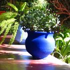 Jardin de Majorelle