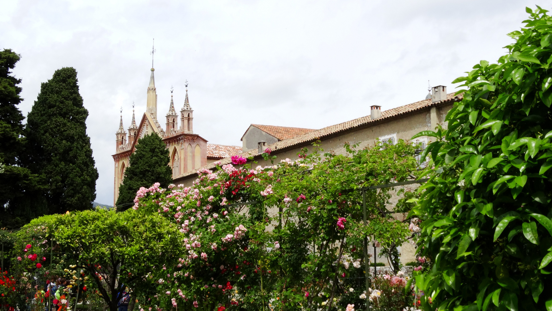 Jardin de Monastère de Cimiez (NICE) - Kloster Cimiez Garten (NICE)