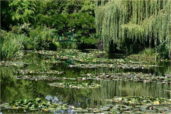 Jardin de Monet