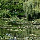 Jardin de Monet