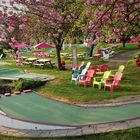 Jardin de Nausicaa ,son magnolia et son mini golf