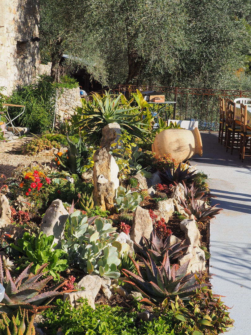 Jardin de rocaille et succulentes côté sud devant la maison