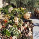 Jardin de rocaille et succulentes côté sud devant la maison