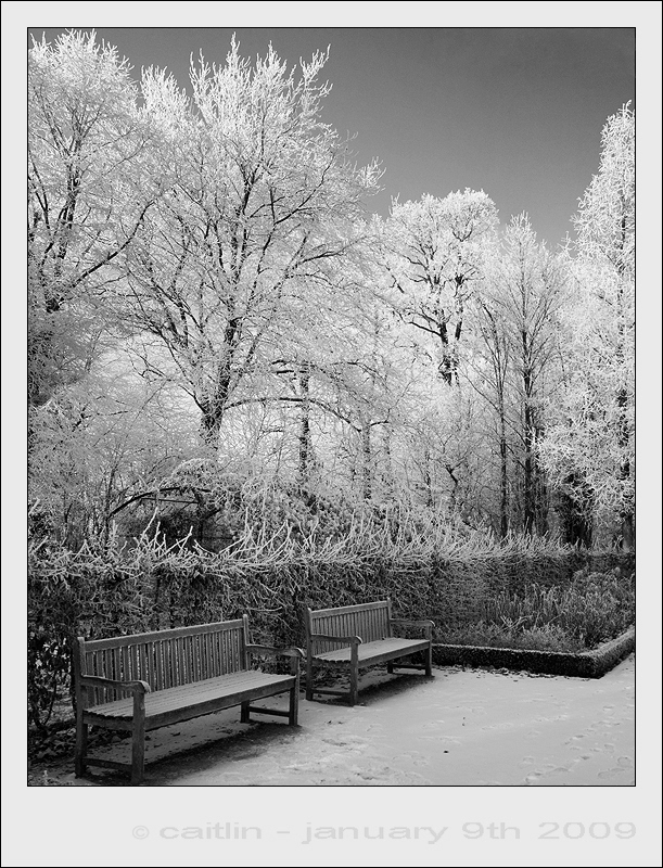 Jardin de Rose à Courtrai (2)