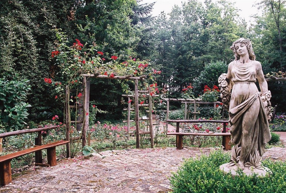 jardin de roses