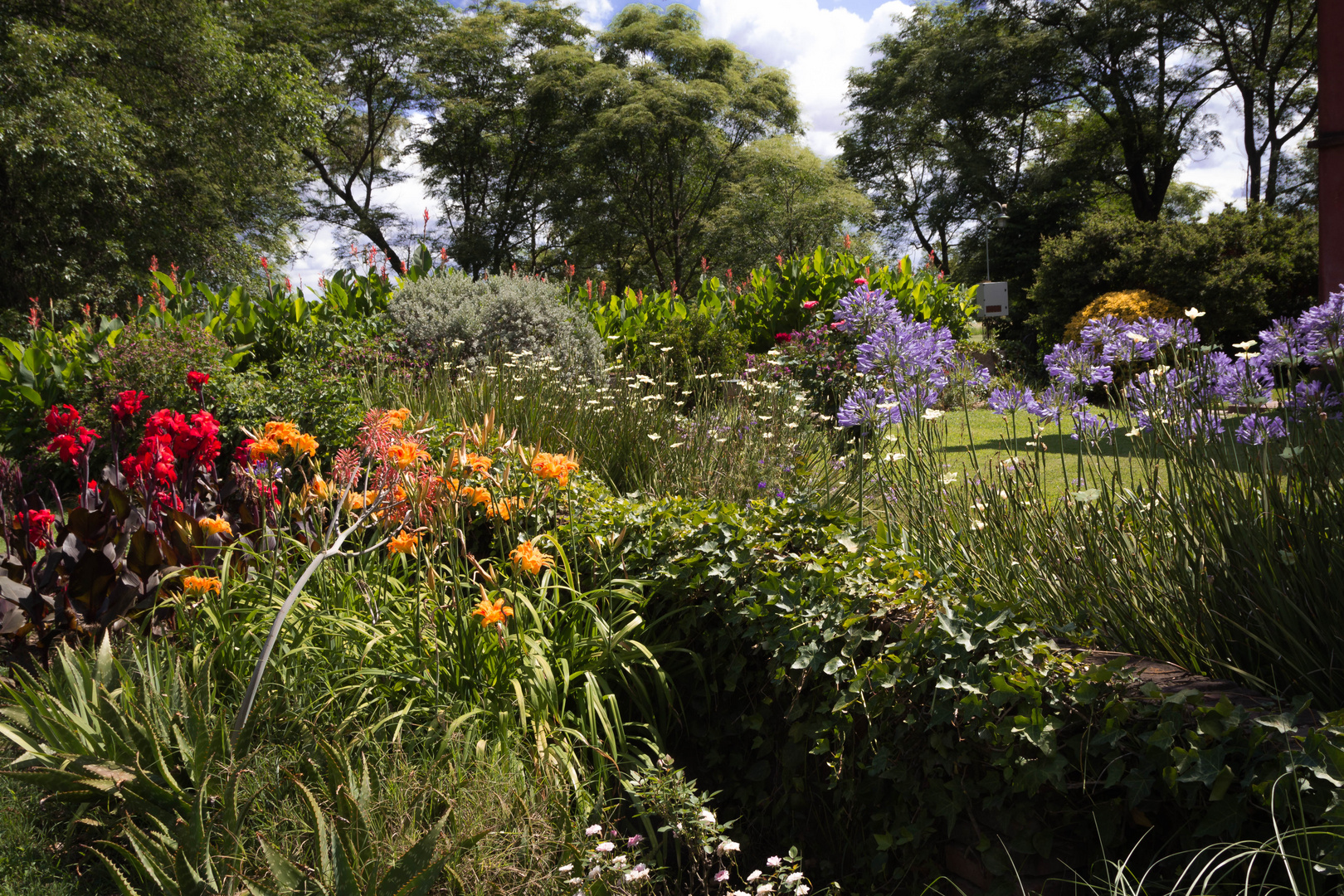 Jardín de verano