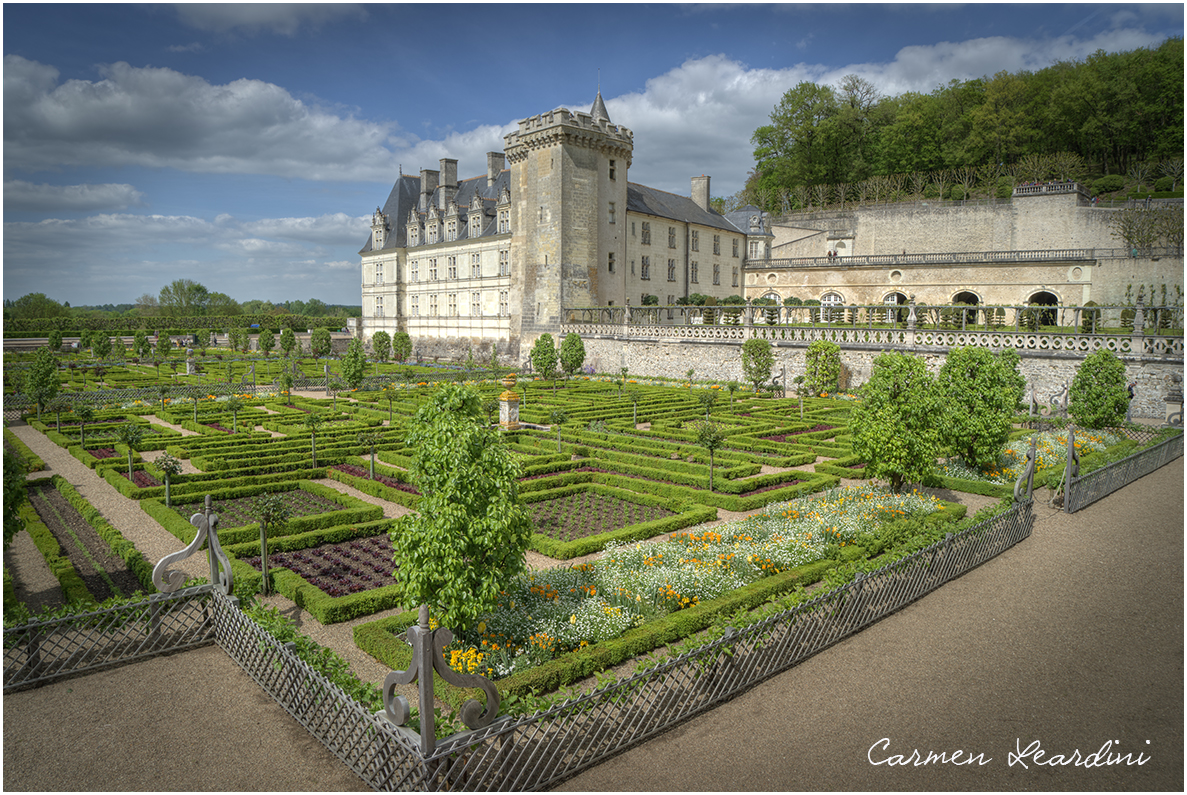 Jardin de Villandry