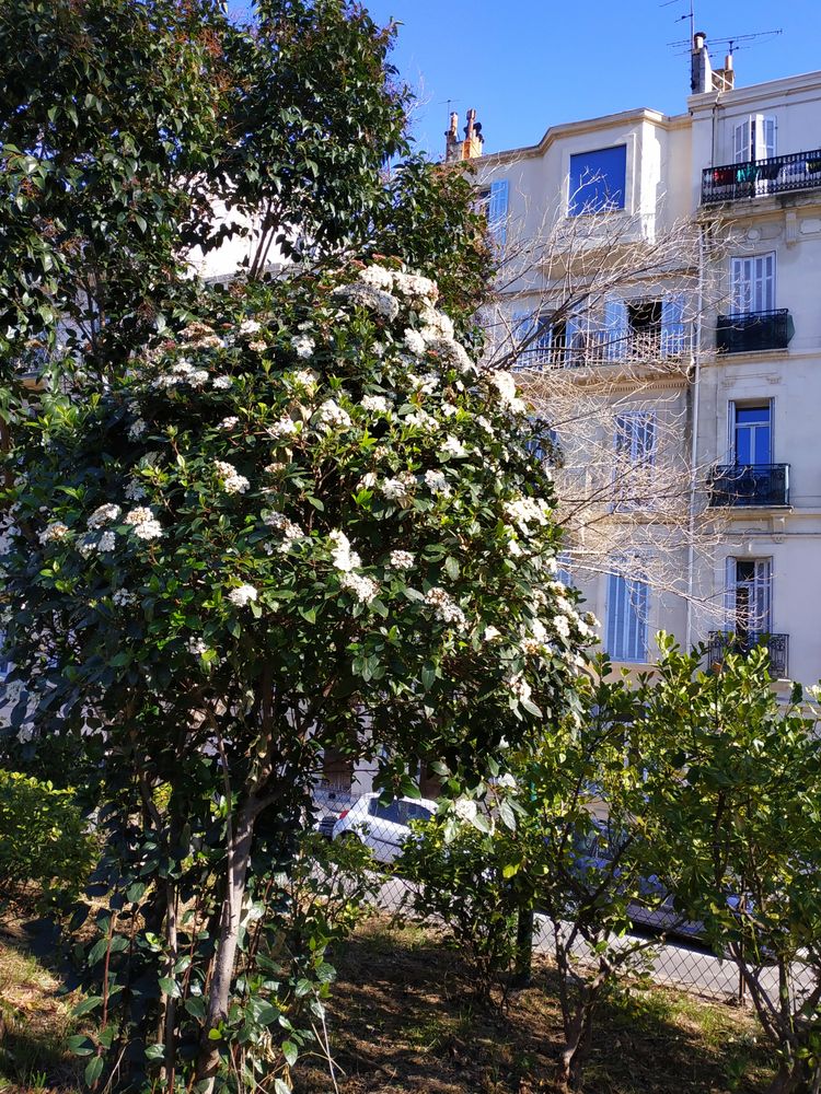 Jardin de ville