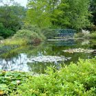 Jardin d'Eau de Carsac