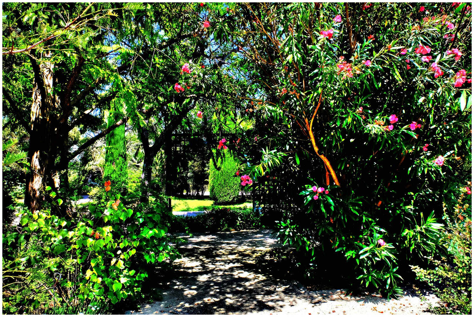 Jardin d'Eden photo et image | nature, marseille, provence Images