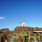 Jardín del Cactus