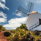 Jardin del Cactus Lanzarote