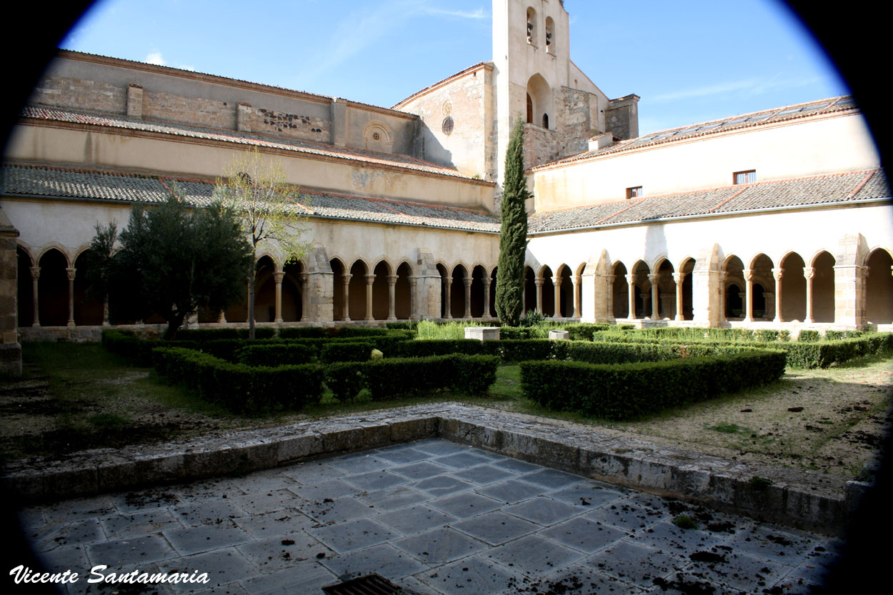 JARDIN DEL CLAUSTRO