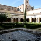 JARDIN DEL CLAUSTRO