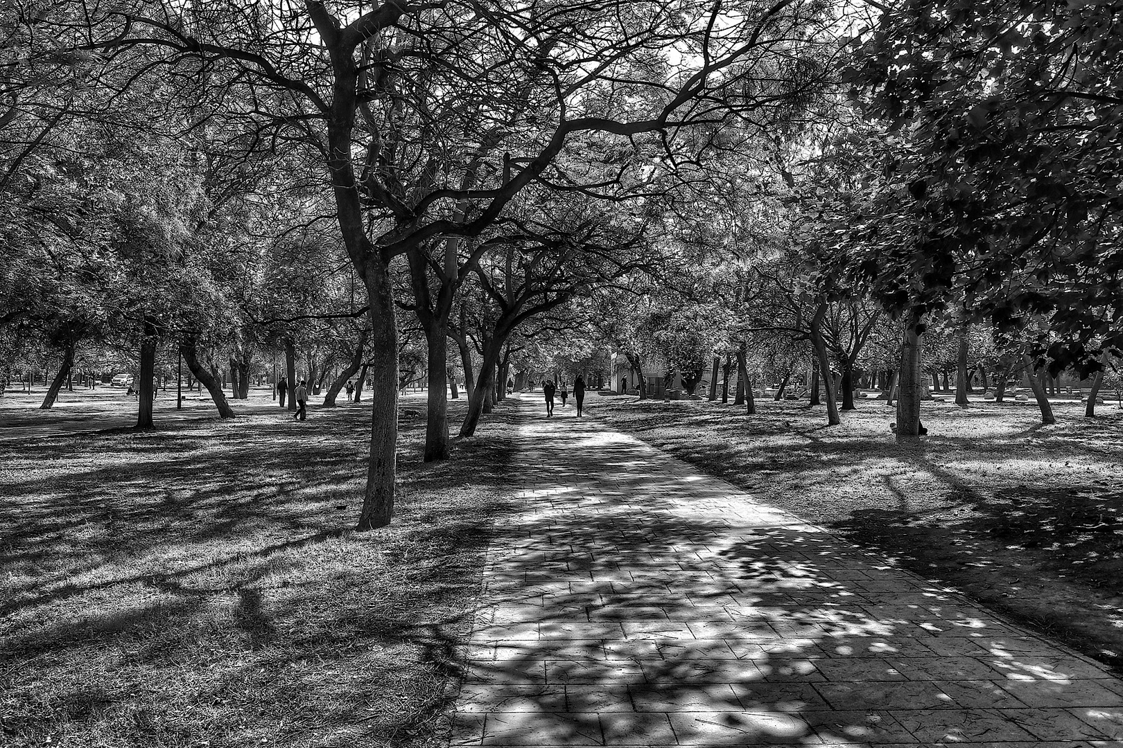 Jardín del Túria