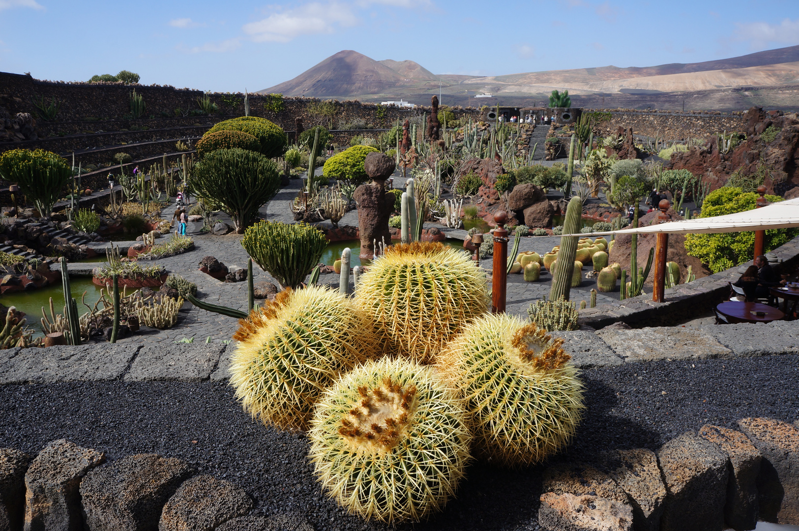 Jardin des cactus sur l'île de Lanzarote