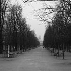 Jardin des Champs-Élysées