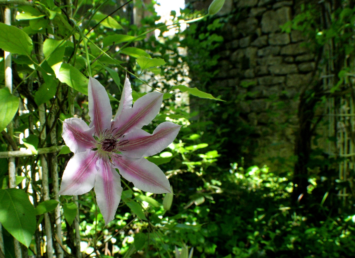 Jardin des Faïenciers...