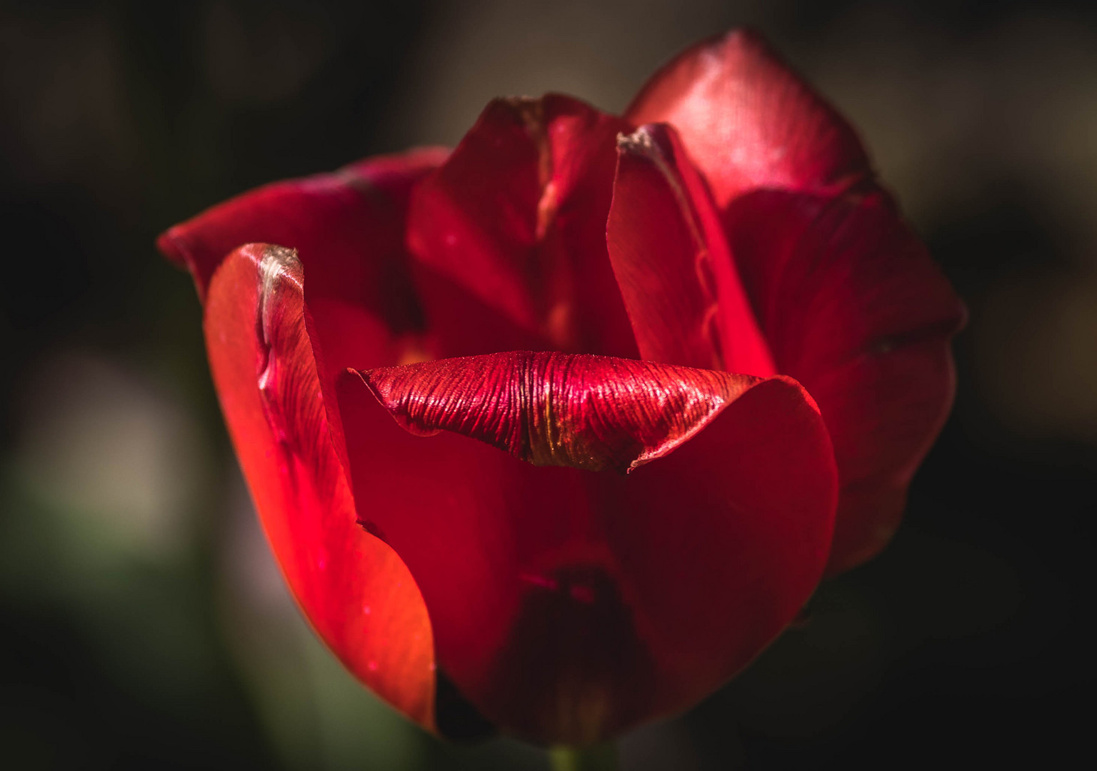 Jardin des plantes 2 / Paris