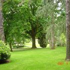 JARDIN DES PLANTES