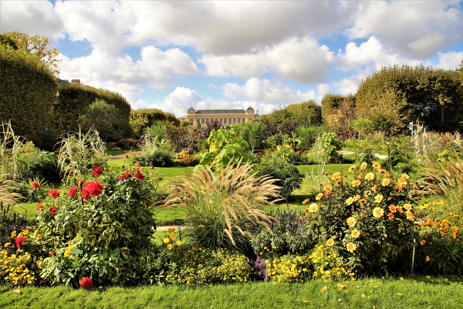 Jardin des Plantes