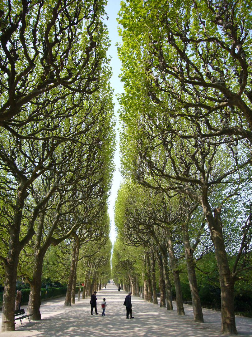 Jardin des Plantes