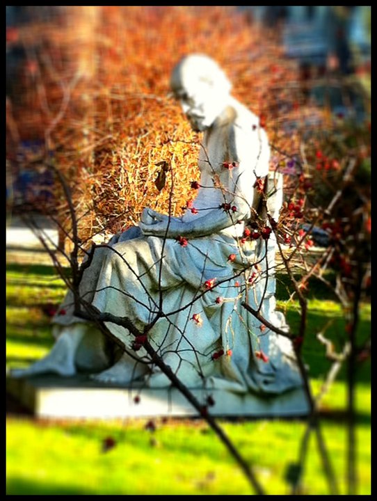 Jardin des plantes