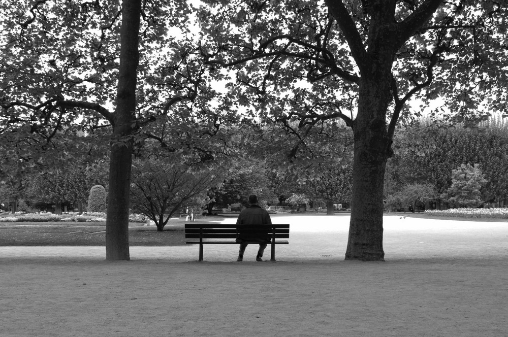 Jardin des plantes, avril 2009