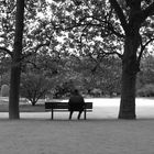 Jardin des plantes, avril 2009