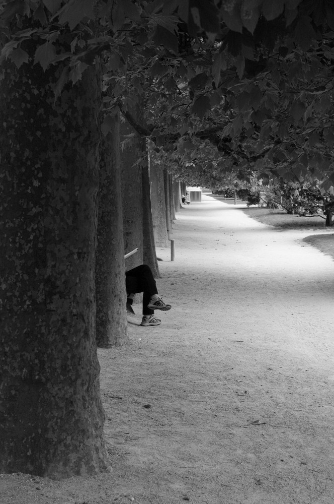 Jardin des plantes