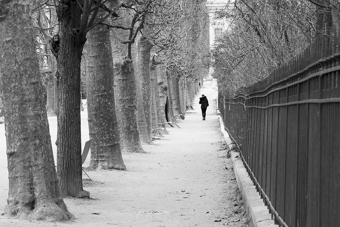 jardin des plantes