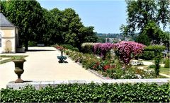 jardin des plantes de laval