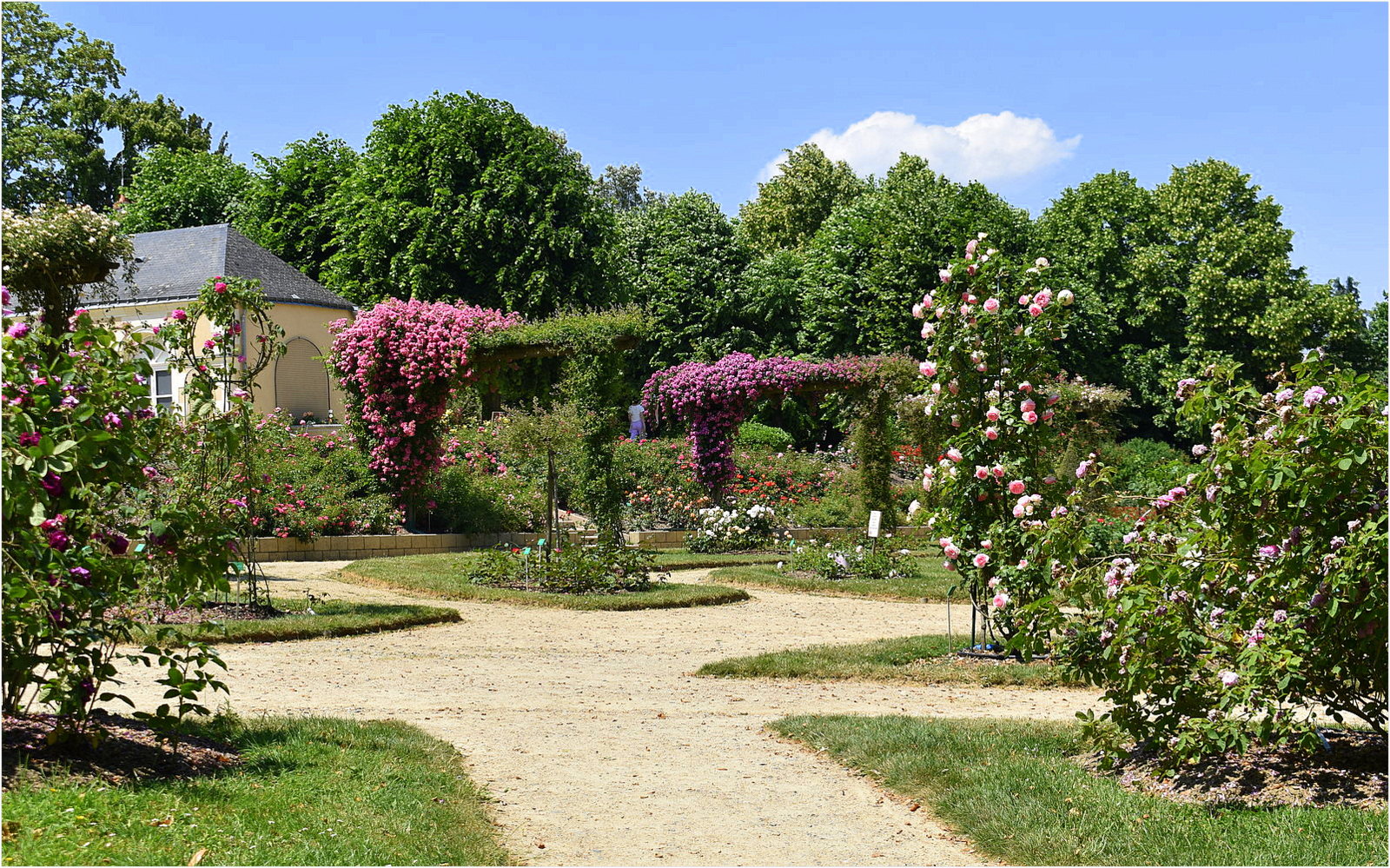 jardin des plantes de laval