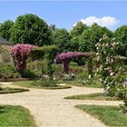 jardin des plantes de laval