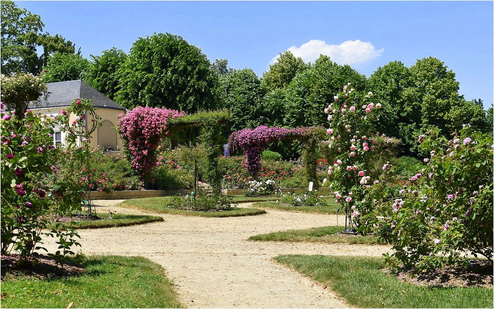 jardin des plantes de laval