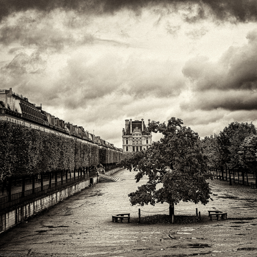 Jardin des Tuileries