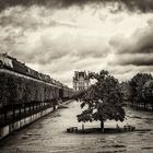 Jardin des Tuileries