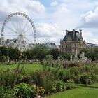 Jardin des Tuileries