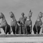 JARDIN DES TUILERIES